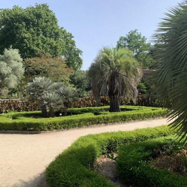 Jardin avec palmiers et arbustes verdoyants